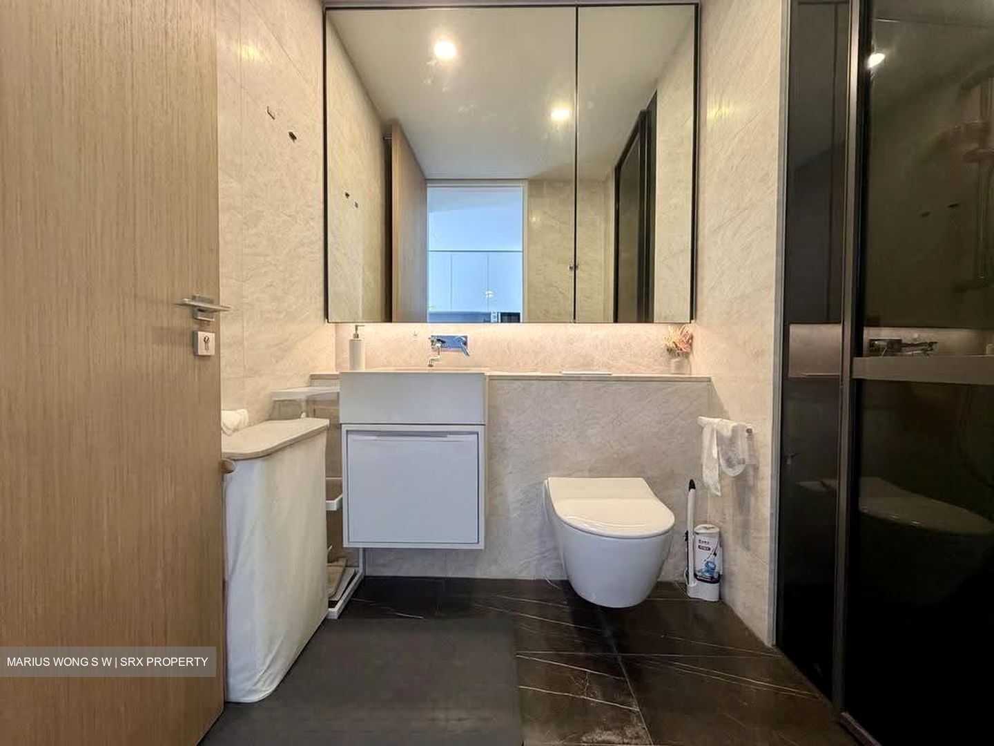 Amber Park (D15), Condominium #629347321